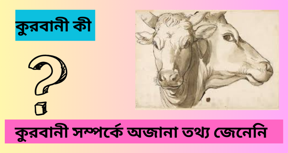 কুরবানি বা ঈদুল আযহা কাকে বলে